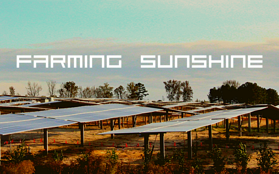 Farming Sunshine